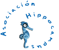 Asociación Hippocampus · cliente de diseño web en Murcia